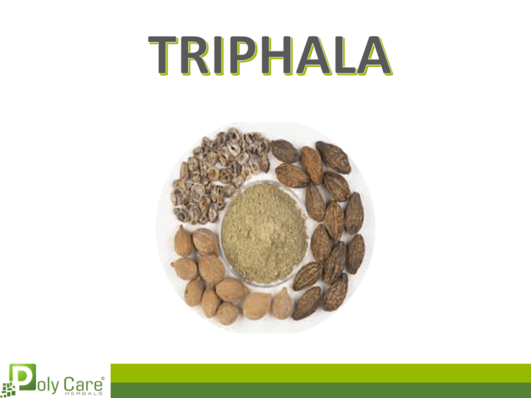 Triphala ayurvedic classical medicine Polycare Herbals