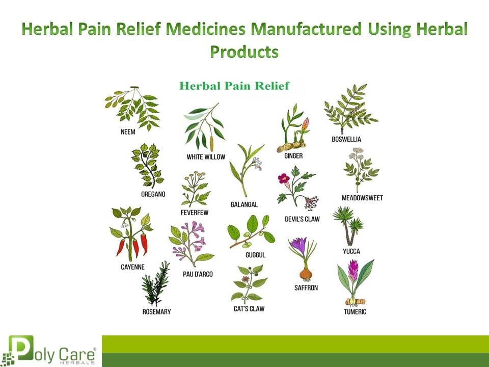 Herbal Pain Relief